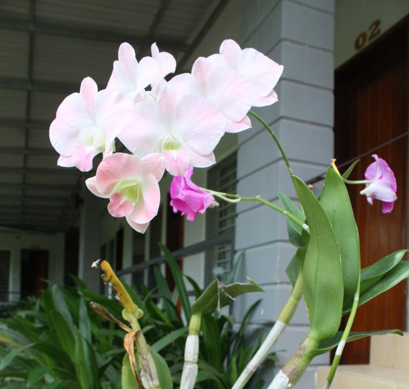 My Parents Guesthouse Kampot Exterior foto