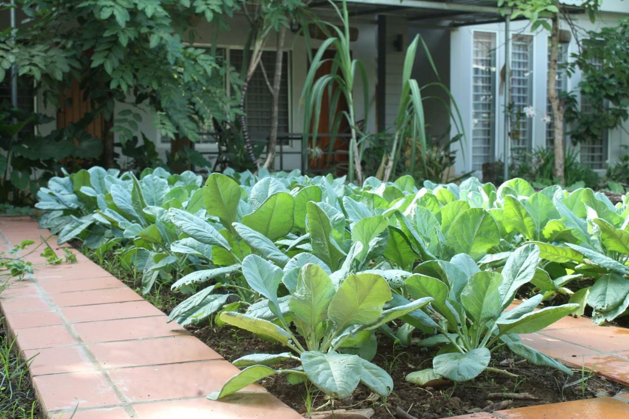 My Parents Guesthouse Kampot Exterior foto